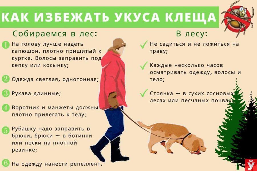 Профилактика укусов клещей и клещевых инфекций